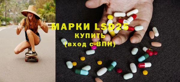 прущие грибы Алексеевка