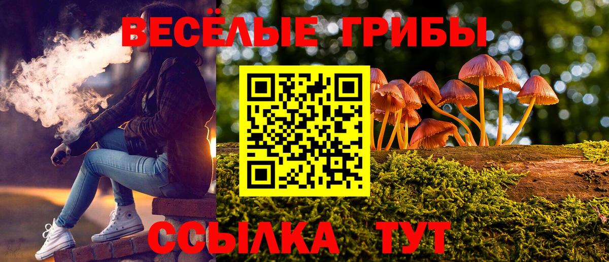 Шумерля  Псилоцибиновые грибы Magic Shrooms  Вход с VPN  Галлюциногенные грибы Psilocybe 
