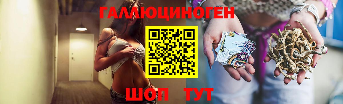 Галлюциногенные грибы Psilocybine cubensis Шумерля